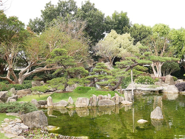 cm20190226___1c502ed3569184ac7dd454f28a2