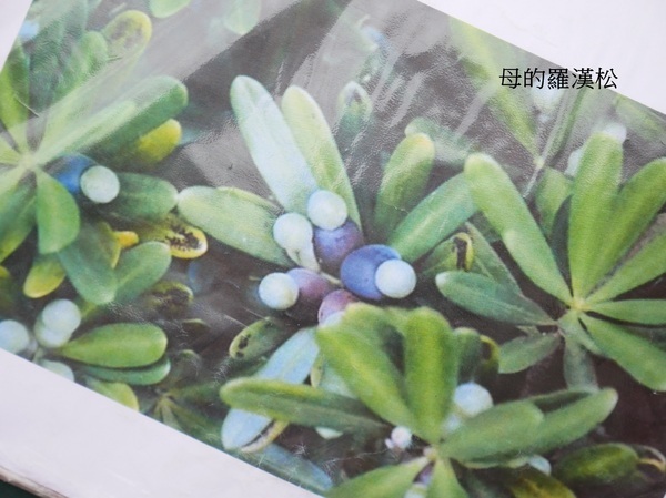 cm20190226___7ba4491cb077a0fb80bafd41ea1