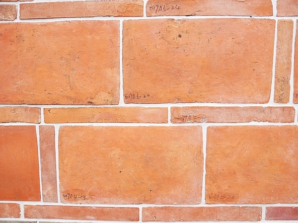 cm20190226___11d91f67e032431b8f6bb8246f4