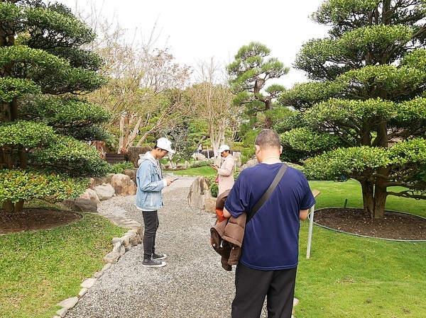 cm20190226___20480b514b78d7530175618e580