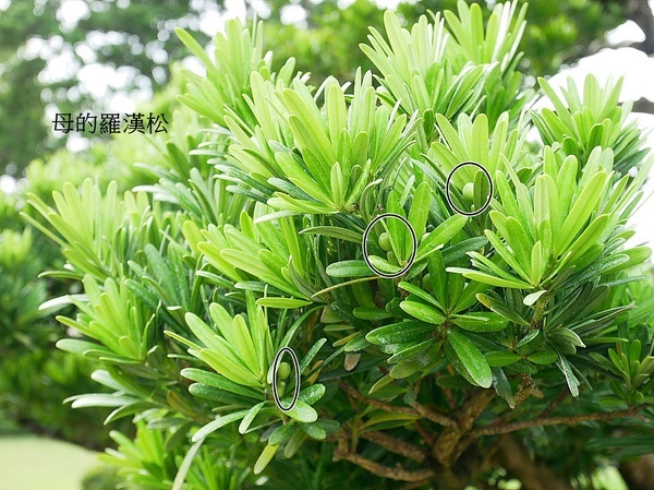 cm20190226___2dce291f750df92606741201bef