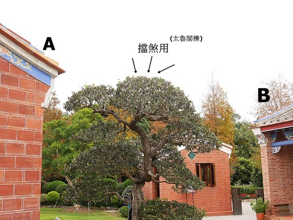 cm20190226___1e1903f344884826a686121ad39