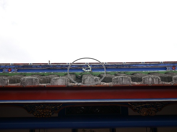 cm20190226___13bdd95402000d2c0efa7e5503a