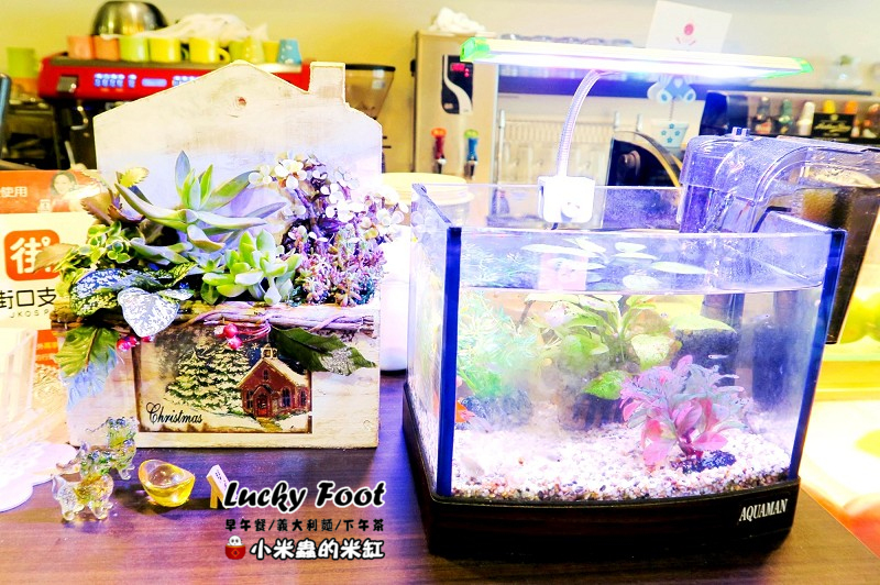 【捷運大橋頭站】Lucky Foot ~大稻埕/義大利麵/早午餐/咖啡/下午茶，被好多兔子包圍的可愛咖啡廳♥