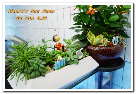 GO CHA BAR：中山站果昔．繽紛美麗最適打卡的鮮果飲──GO CHA BAR