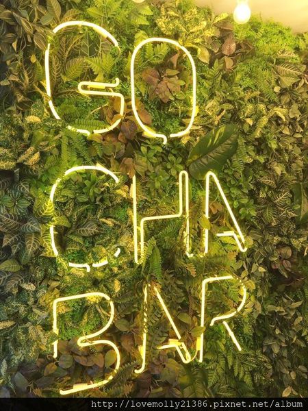 15782461_10203148687715138_152258090_n