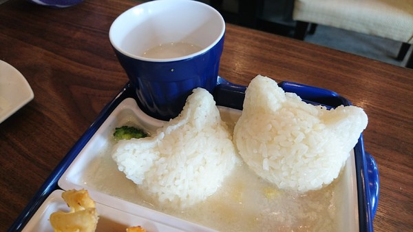 初覓手作餐坊：高雄~初覓手作餐坊~古錐的貓咪餐點~覓覓店長歡迎您~貓咪主題餐廳~