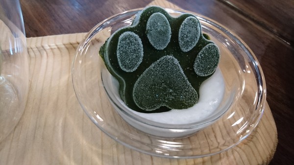 初覓手作餐坊：高雄~初覓手作餐坊~古錐的貓咪餐點~覓覓店長歡迎您~貓咪主題餐廳~