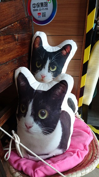 初覓手作餐坊：高雄~初覓手作餐坊~古錐的貓咪餐點~覓覓店長歡迎您~貓咪主題餐廳~