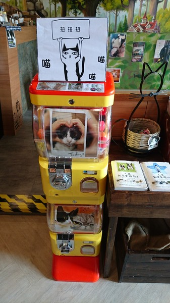 初覓手作餐坊：高雄~初覓手作餐坊~古錐的貓咪餐點~覓覓店長歡迎您~貓咪主題餐廳~