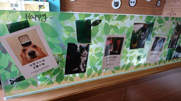 初覓手作餐坊：高雄~初覓手作餐坊~古錐的貓咪餐點~覓覓店長歡迎您~貓咪主題餐廳~