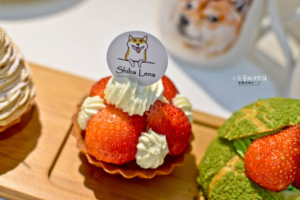 DSC_0014.jpg DSC_0014.jpg