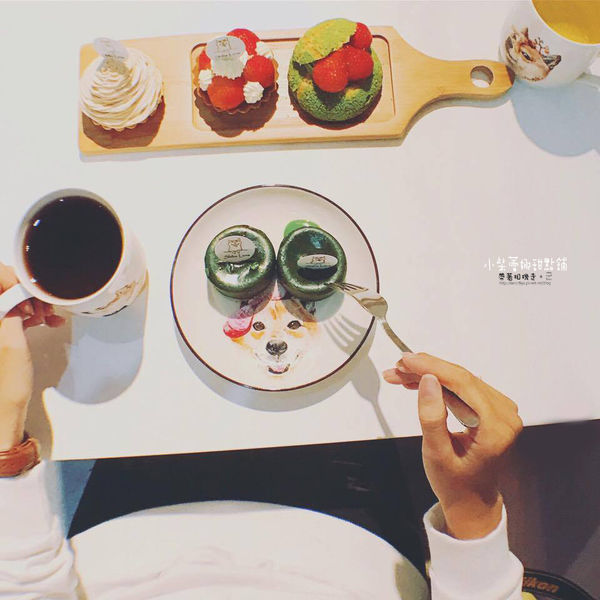 15731617_1598016930213764_1214770736_n.jpg 15731617_1598016930213764_1214770736_n.jpg