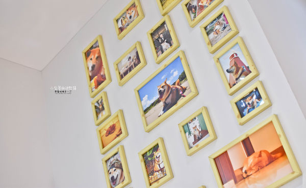 DSC_0006.jpg DSC_0006.jpg