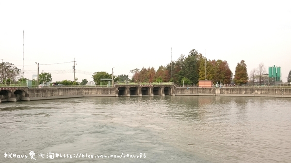 林內農田水利文物陳列館:■雲林■林內,【農田水利文物陳列館區】有北國落羽松風情。