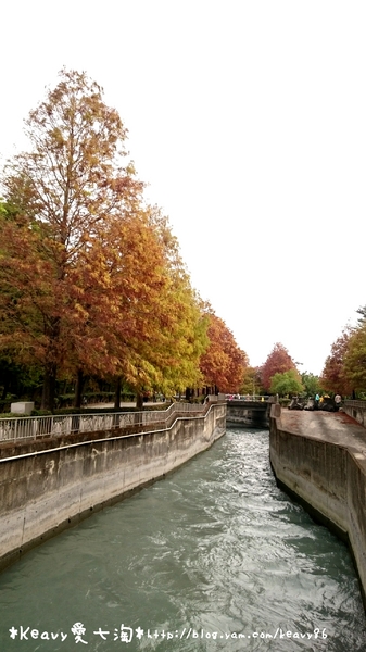 林內農田水利文物陳列館:■雲林■林內,【農田水利文物陳列館區】有北國落羽松風情。