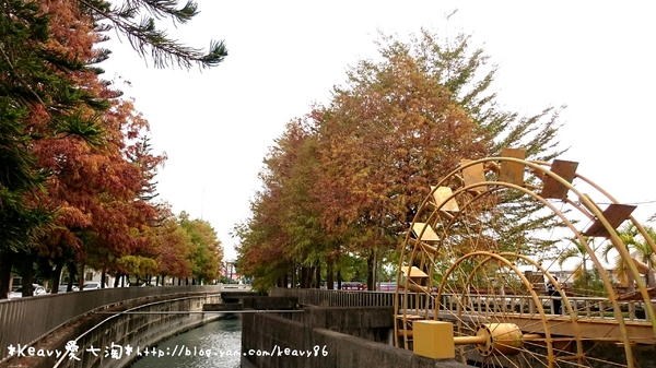 林內農田水利文物陳列館:■雲林■林內,【農田水利文物陳列館區】有北國落羽松風情。