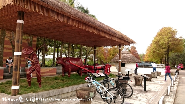 林內農田水利文物陳列館:■雲林■林內,【農田水利文物陳列館區】有北國落羽松風情。