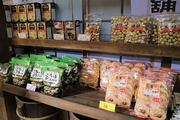 日藥本舖江戶村博物館：【新竹市景點】日藥本舖江戶村博物館~打造江戶村懷舊街道場景，忍者修道館，U虎神社，免費參觀