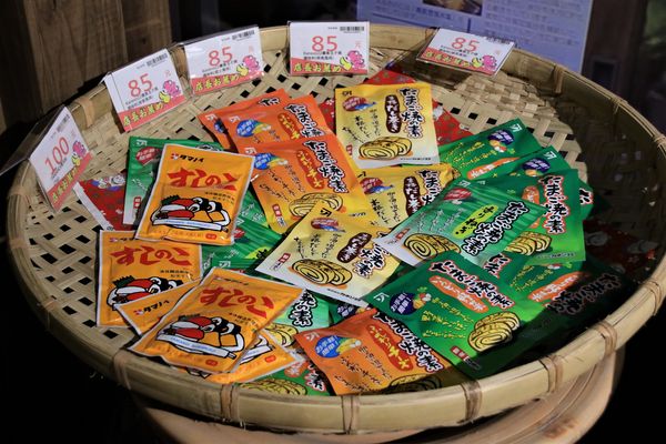 日藥本舖江戶村博物館：【新竹市景點】日藥本舖江戶村博物館~打造江戶村懷舊街道場景，忍者修道館，U虎神社，免費參觀