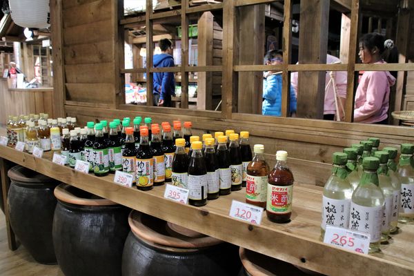 日藥本舖江戶村博物館：【新竹市景點】日藥本舖江戶村博物館~打造江戶村懷舊街道場景，忍者修道館，U虎神社，免費參觀