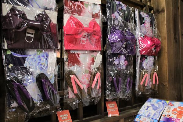 日藥本舖江戶村博物館：【新竹市景點】日藥本舖江戶村博物館~打造江戶村懷舊街道場景，忍者修道館，U虎神社，免費參觀