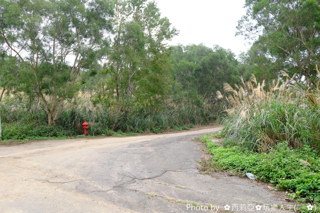 DSCF2141_结果.JPG DSCF2141_结果.JPG