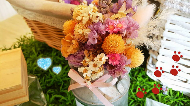 17554456_1112091402269356_4213328778063103564_n