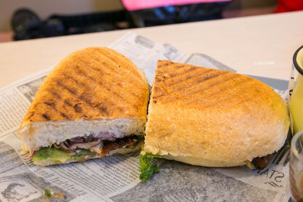 [吃喝]歡迎光臨毛小孩的聚會所～Two Puppies寵物友善餐廳。