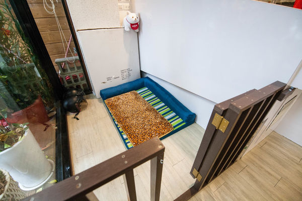 [吃喝]歡迎光臨毛小孩的聚會所～Two Puppies寵物友善餐廳。