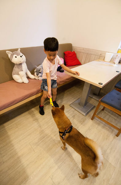 [吃喝]歡迎光臨毛小孩的聚會所～Two Puppies寵物友善餐廳。