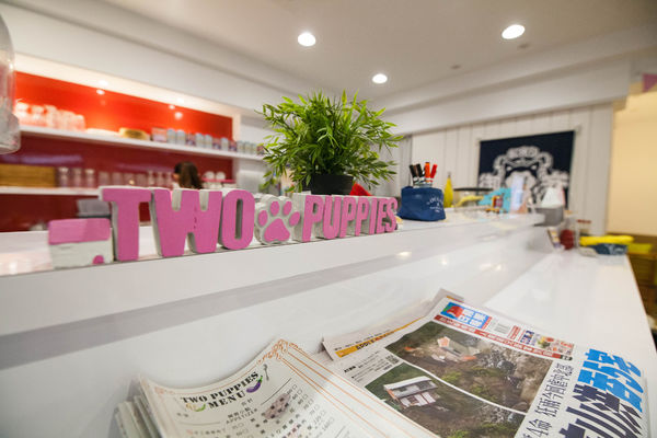 [吃喝]歡迎光臨毛小孩的聚會所～Two Puppies寵物友善餐廳。