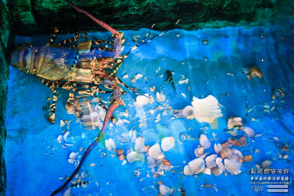 鼻頭魚港海鮮(阿秀海產)|屏東縣恆春鎮鼻頭漁港在地隱藏版必吃海產店;價格公開且內行人才知道的無菜單海產店;來墾丁必吃,不然就白來玩了。(三立電視台~台灣尚青、青春好七淘推薦)