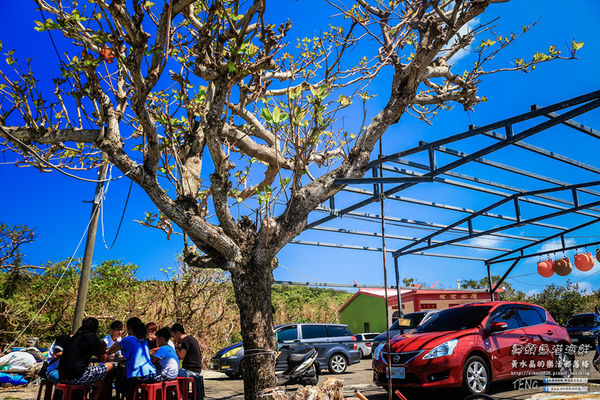 鼻頭魚港海鮮(阿秀海產)|屏東縣恆春鎮鼻頭漁港在地隱藏版必吃海產店;價格公開且內行人才知道的無菜單海產店;來墾丁必吃,不然就白來玩了。(三立電視台~台灣尚青、青春好七淘推薦)