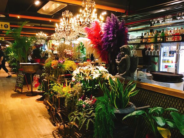 Thai T-6.JPG Thai T-6.JPG