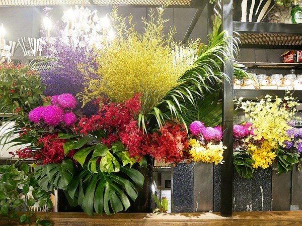 Thai j：泰Thai.J-台中大墩路上花草系餐廳  滿滿植物把店內佈置得超華麗  公主系列布朗尼很吸睛