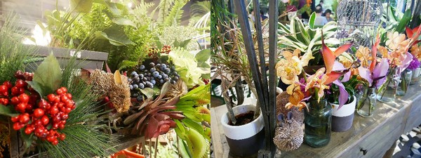 Thai j：泰Thai.J-台中大墩路上花草系餐廳  滿滿植物把店內佈置得超華麗  公主系列布朗尼很吸睛