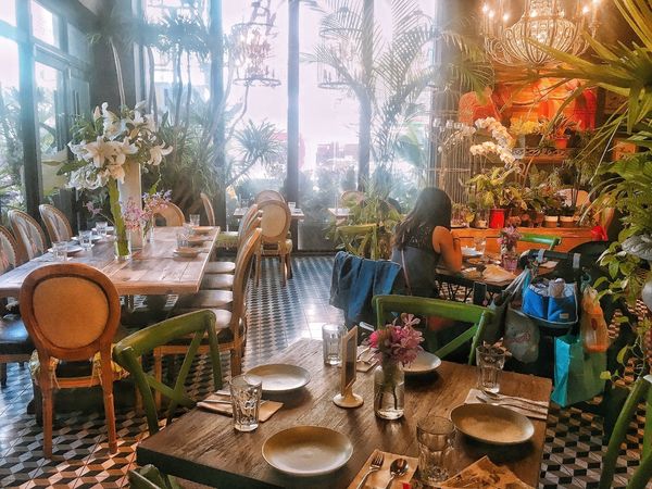 Snapseed.jpg Snapseed.jpg