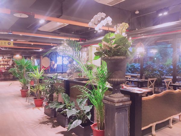 IMG_6675.JPG IMG_6675.JPG