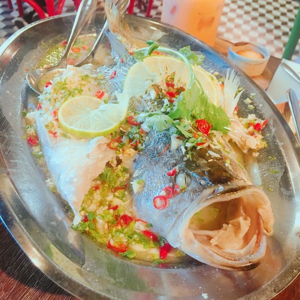 IMG_6664.JPG IMG_6664.JPG