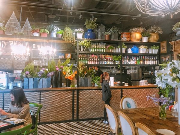 Snapseed.jpg Snapseed.jpg