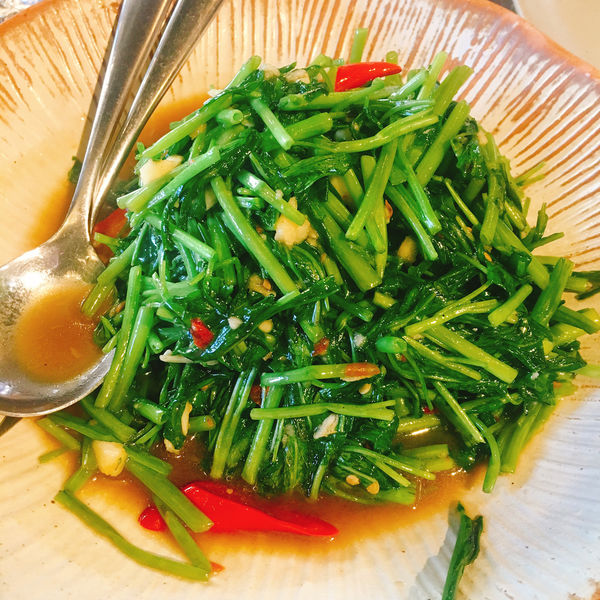 IMG_6965.JPG IMG_6965.JPG