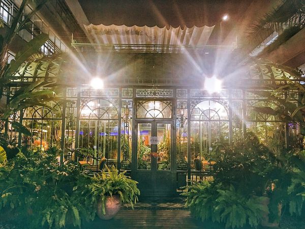 IMG_0362.JPG IMG_0362.JPG