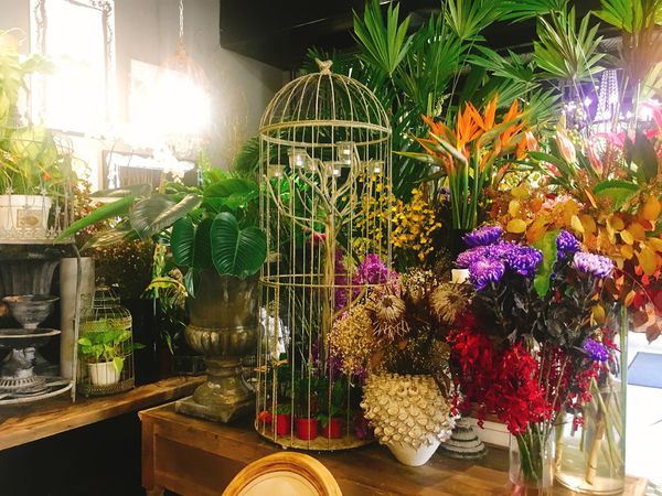 IMG_6627.JPG IMG_6627.JPG