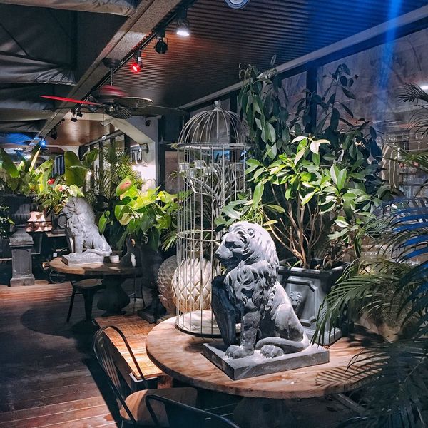 IMG_0364.JPG IMG_0364.JPG