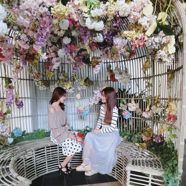 IMG_6761.JPG IMG_6761.JPG