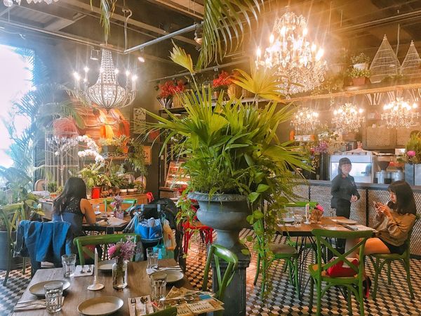 Snapseed.jpg Snapseed.jpg