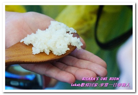 摩璐農場：新北悠遊趣．烏來旅遊／泰雅原住民部落文化之旅──Lokah歡迎回家.3摩璐農場