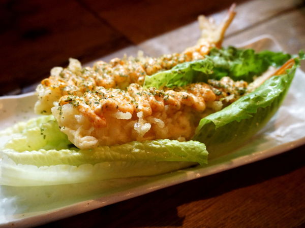 DSC06509.JPG DSC06509.JPG