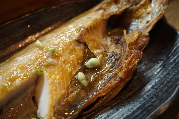 DSC06482.JPG DSC06482.JPG